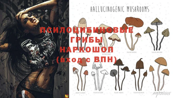 трава Абдулино
