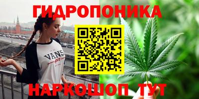 индика Кимры