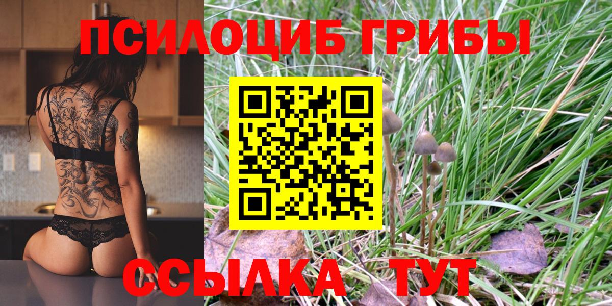 Галлюциногенные грибы GOLDEN TEACHER Азов